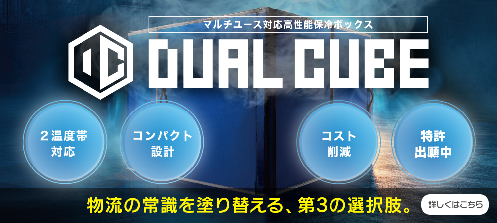 DUAL CUBE